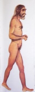 Common Ancestor