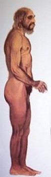 Neanderthal Man