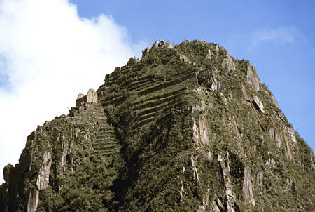 Terraced Mountain with temple at Manchu Picchu